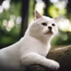 haunted cat - DO NOT BUY THIS