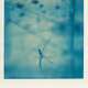 Editions by Bruno Mello