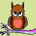 Outlandish Owls