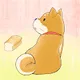 PONTA THE SHIBA DOG