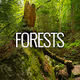 _Forests_ - old