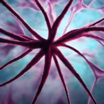 Neural networks | Macro | Explosive