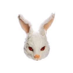 #FR2 The First Mask | STRAYM