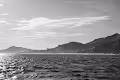 B&W Photos AOTW