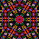 The Mirrored Universe