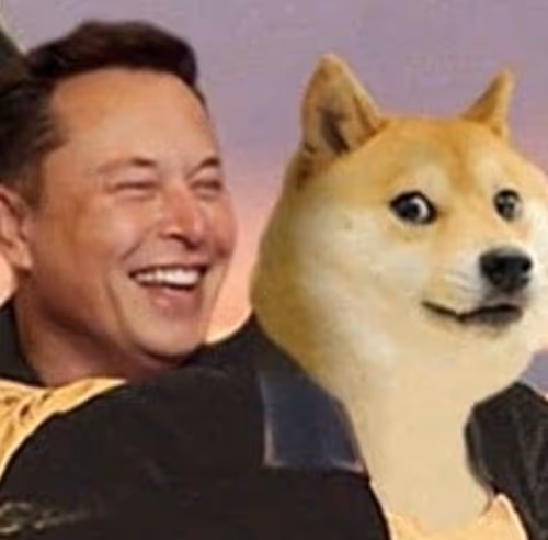 good doge
