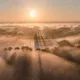 Into the Fog