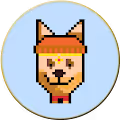 The CryptoDogPunks