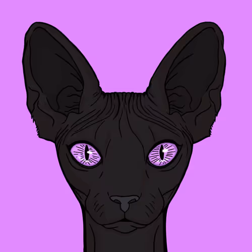 SphynxSai