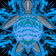TRIPPY SHELLS