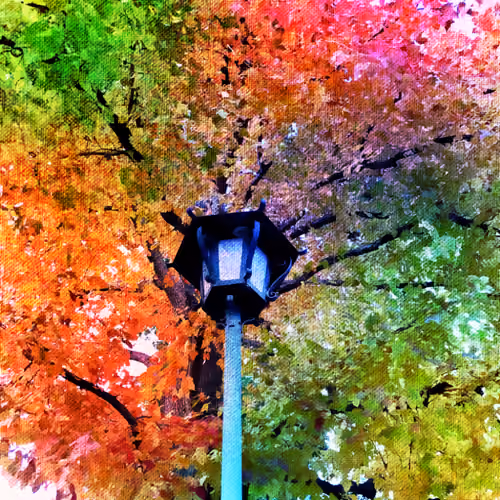 nature and colorful
