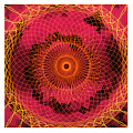 Spiraculous