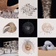 Parametric Architecture