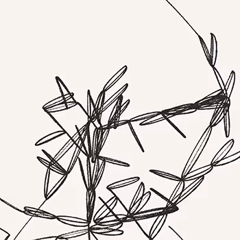 Sarah Ridgley Editions