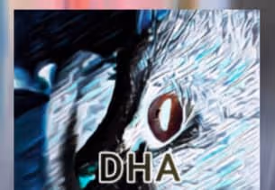 DIGITAL__HANA__ARTS__djunk__collection