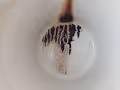 Bottom of the CUP