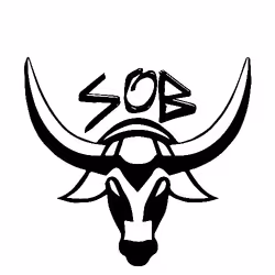 Sacred Order Of The Bulls