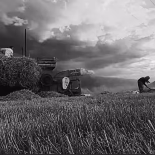 anatolian breeze - old