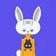 RabbiTown