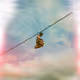 SHOEFITI - The Beginning