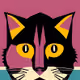 Cats Cats and More!