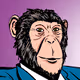 See Do NFT - Monkey See Monkey Do