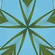 Kaleidoscope Plants