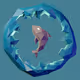 Polygon FISH