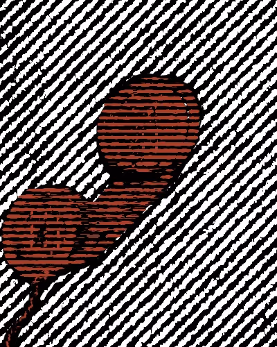 No Caller ID - editions V1