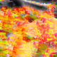 Burnt art