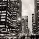 2009 New York