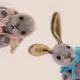 Hop-motion