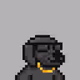 Degen Companions