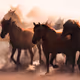 Kayseri Cowboys_Turkey