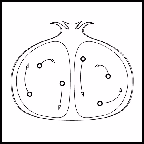 Elementary Applied Topology