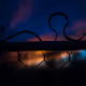 FENCE SKY