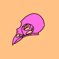 Ugly No Gender Bird