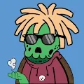 Turtle Mories Official