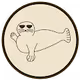 Cryptic Seals