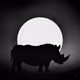 Sunset Rhinos