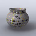 Zodiac Ceramics: Capricorn