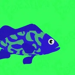 Item Media Placeholder