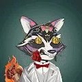 Raccoon Mafia