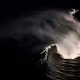 oceanphotos