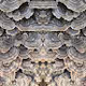 Fungal Meditations By Osso Lovo
