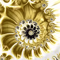 Golden Spirals - old
