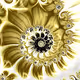 Golden Spirals - old