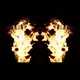 Phoenix Photo NFT