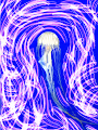 JellyFish Are Awesome !