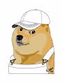 Major League Doge